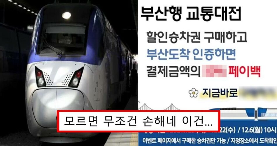 “모르면 무조건 손해” 오늘(6일)부터 부산행 KTX (  )% 대박 할인이라는 소식이 전해졌다