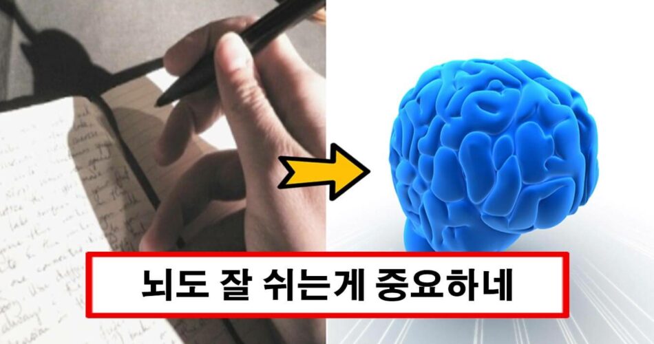 “조금이라도 쉬세요” 유명신문 건강칼럼니스트가 알려주는 뇌를 젊어지게 만드는 10가지 습관