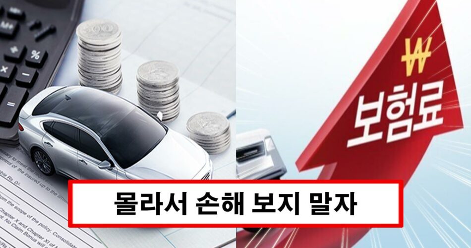 “알아야 보상받아요” 1월부터 바뀐 자동차 보험 변경사항