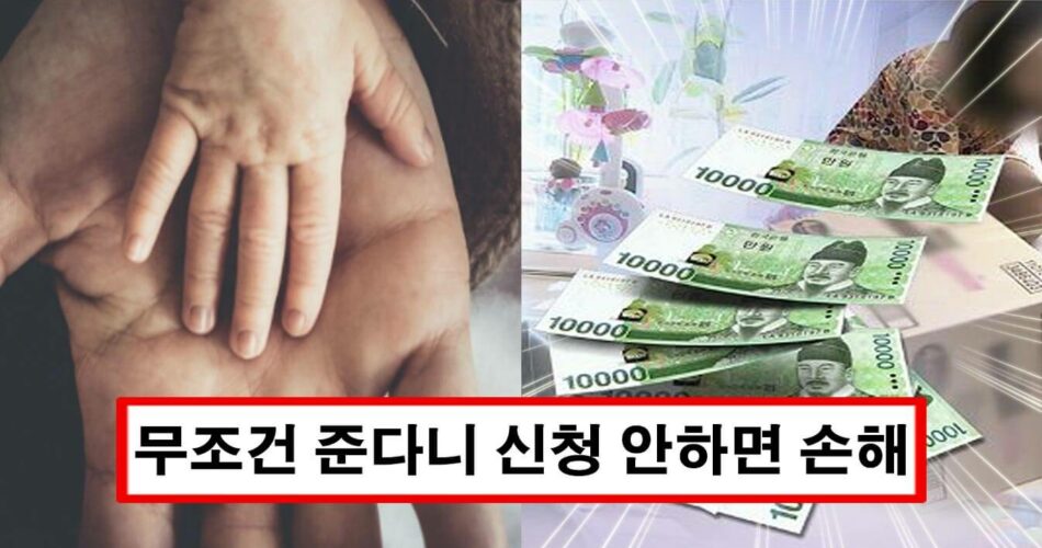 “200만원 무조건 줍니다” 2022년부터 출생신고된 영아는 꼭 신청하세요