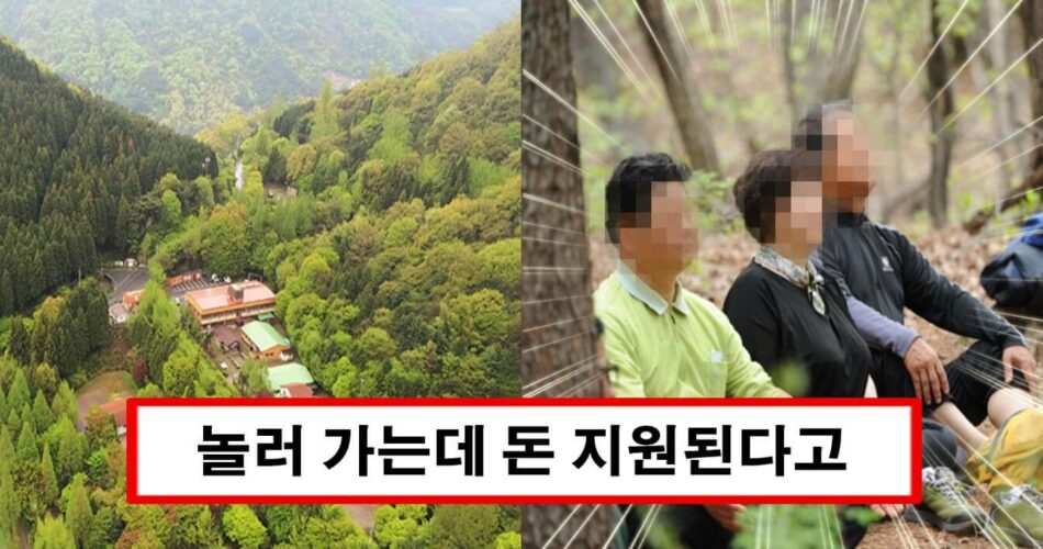 “산에 가면 10만원 줌” 1월 동안 받을 수 있는 산림복지서비스 이용권 신청하세요