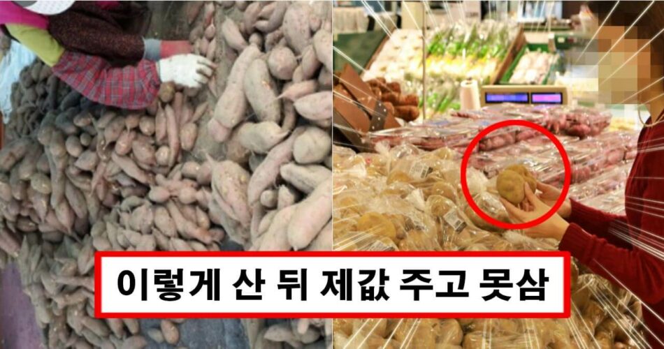 “맛은 같은데 훨씬 싸요” 방송타고 유명해진 식재료 40% 싸게 사는 방법