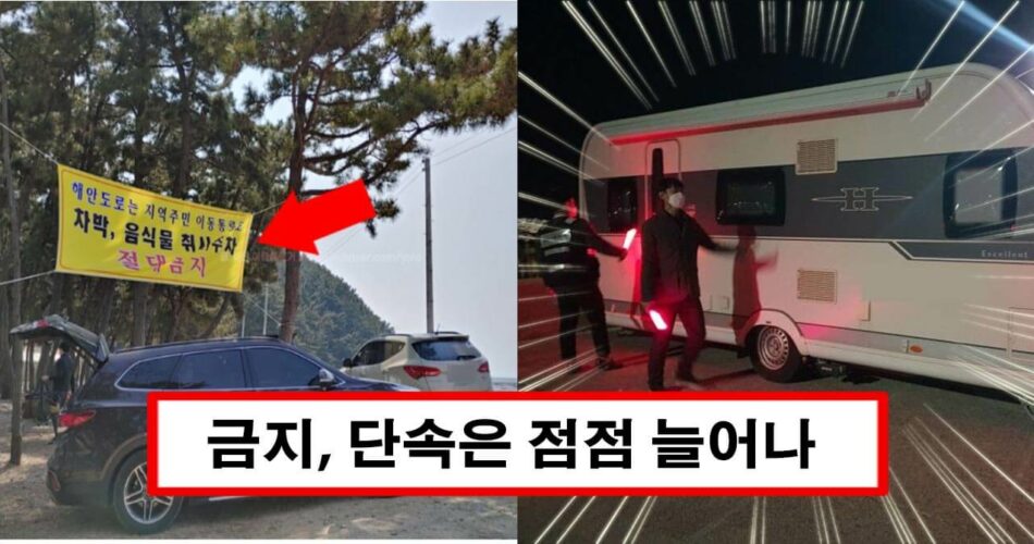 “최대 300만원 과태료 부과” 절대 캠핑이나 차박하면 안되는 야영 금지구역