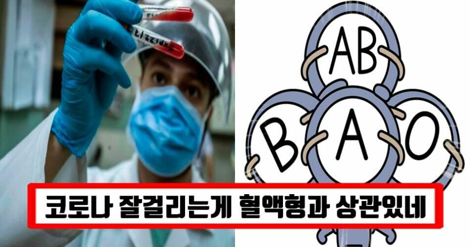 “이 혈액형이 더 잘 걸린다” 영국 신경과학 연구소에서 밝힌 코로나에 취약한, 더 강한 혈액형