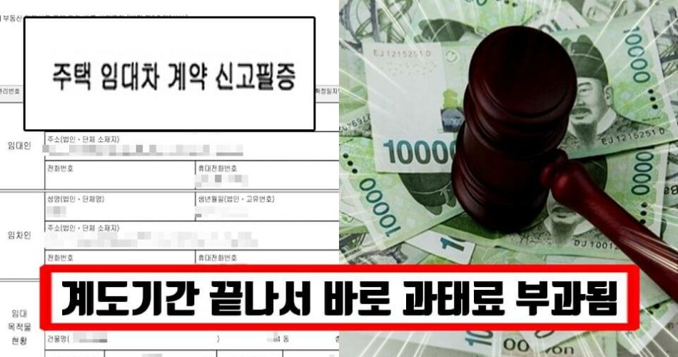 “까먹으면 100만원 손해봅니다” 5월까지 까먹고 안하면 과태료 100만원 맞는 전월세 계약 신고 (+신고방법)