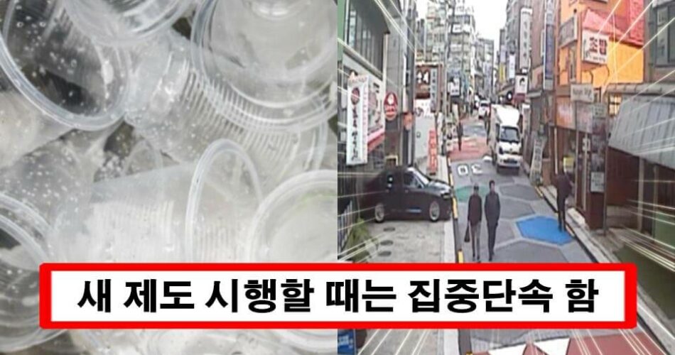 “이것 모르면 과태료 폭탄 맞습니다” 4월부터 바뀌는 제도 5가지