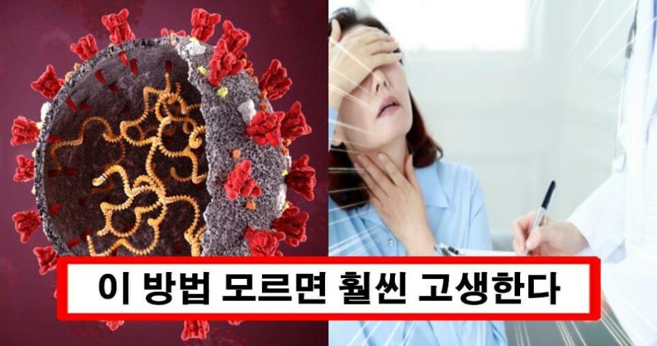 “증상보이면 즉시 ‘이렇게’ 해야됩니다” 오미크론 걸렸을 때 가장 빨리 낫는 방법 7가지