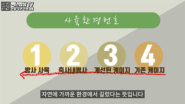 220330_4_계란고르는법-3