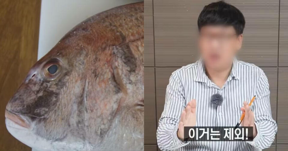 “이런 생선은 절대 사지 마세요” 국내 원탑 생선전문가가 알려주는 싱싱한 횟감 고를 때 잘못된 상식