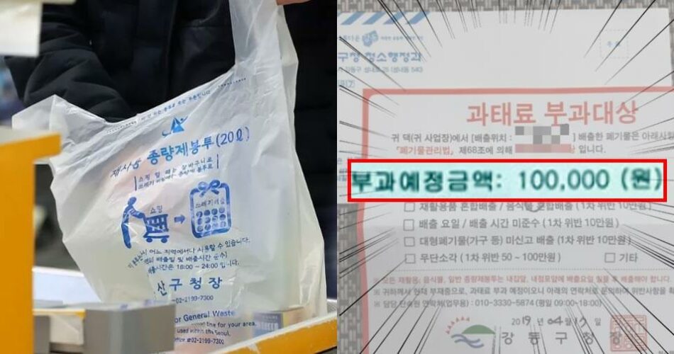 “이거 넣고 버렸다가 과태료 폭탄 맞았어요” 종량제 봉투에 절대 넣어서는 안되는 쓰레기 1가지