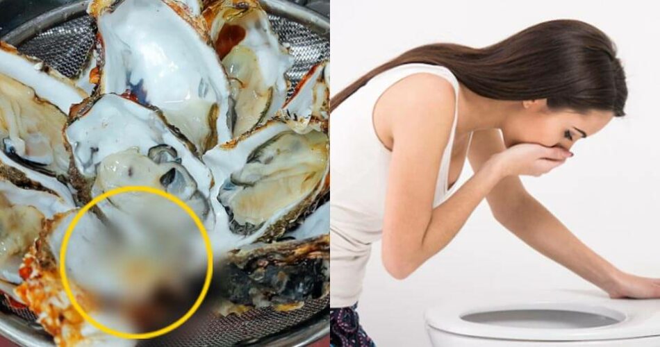 “맛있는데 설사할까 무서워요” 제철 굴 먹고 식중독 안걸리려면 꼭 알아야 하는 것 3가지