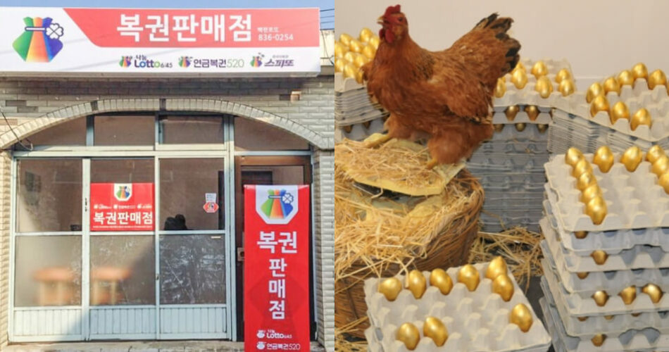 “이게 진짜 황금알 낳는 사업이지” 아는 사람만 소리없이 신청하는 2023년 로또 판매인 신청방법